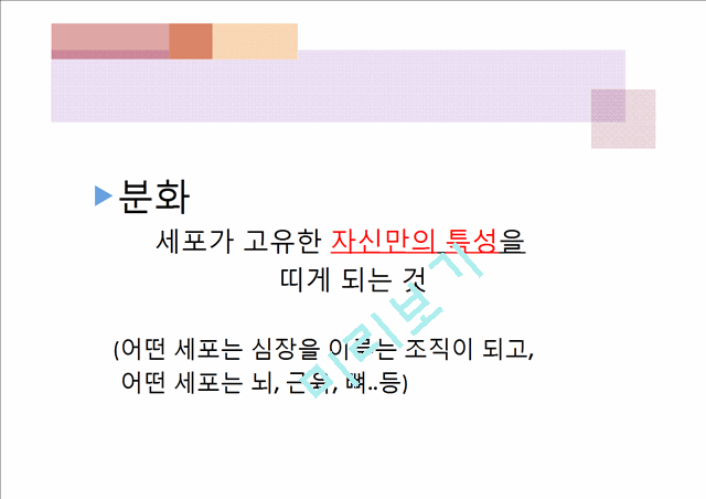 [3000원] 줄기세포와인간배아,줄기세포 연구의 단점(문제점),인간 복제의 가능성,배아 줄기 세포 활용 사례.pptx